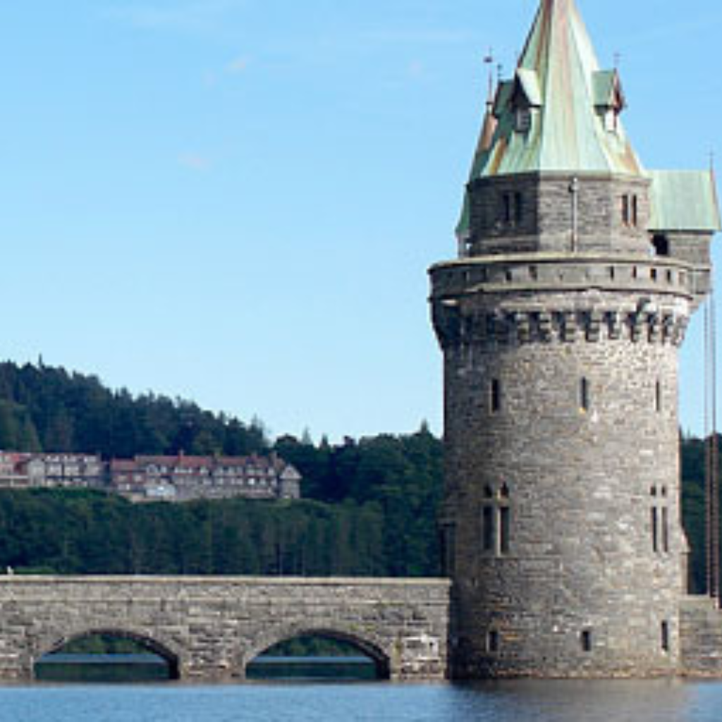 The Tower Lake Vyrnwy