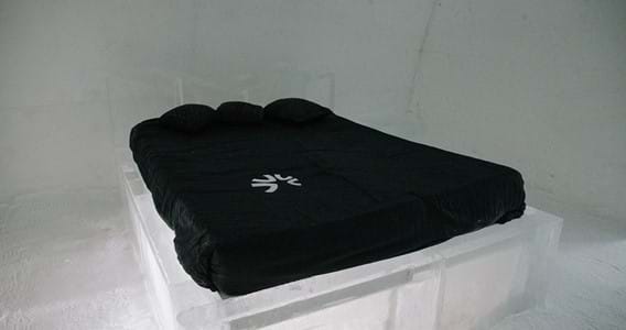 Regular Suite (1 bed)