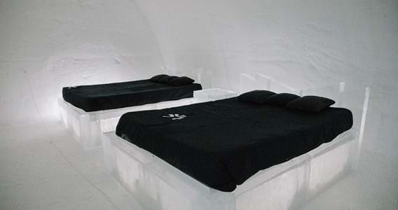 Regular Suite (2 beds)