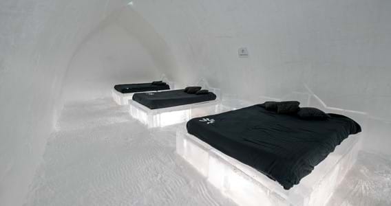 Regular Suite (3 beds)